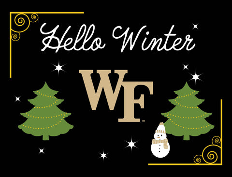 Wake Forest Hello Winter Yardsy Sign yard sign